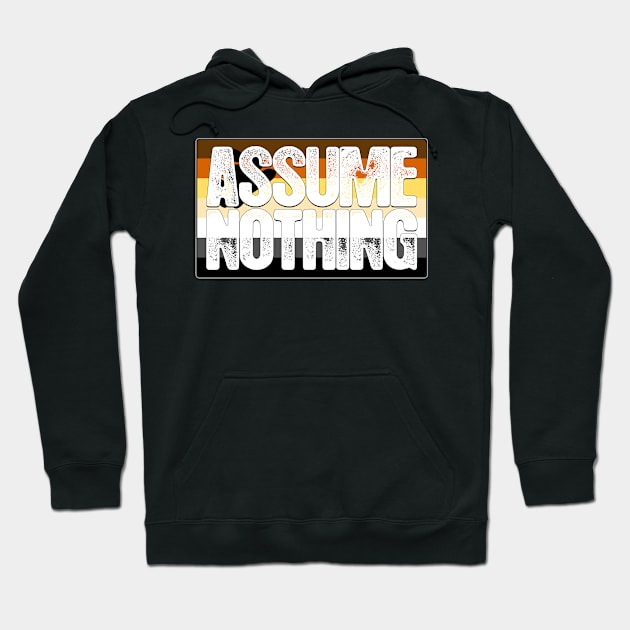 Assume Nothing Bear Pride Flag Hoodie by wheedesign